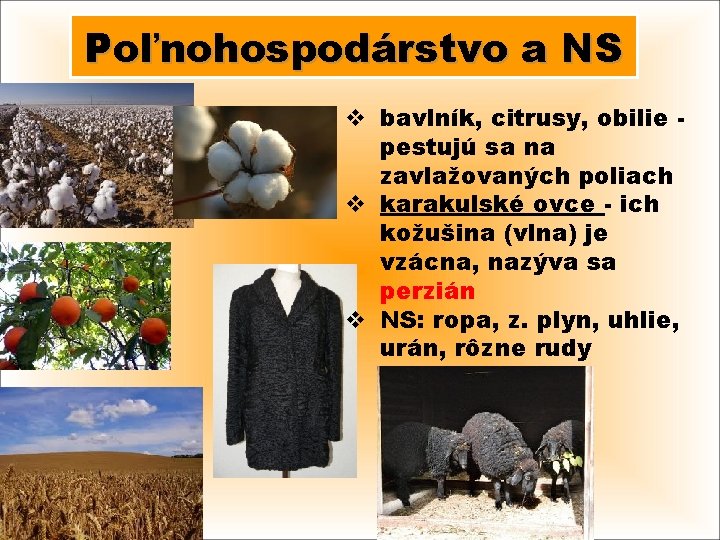 Poľnohospodárstvo a NS v bavlník, citrusy, obilie pestujú sa na zavlažovaných poliach v karakulské