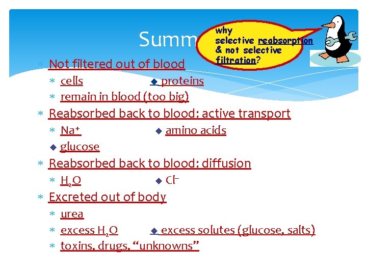 why selective reabsorption & not selective filtration? Summary Not filtered out of blood cells