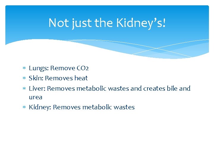 Not just the Kidney’s! Lungs: Remove CO 2 Skin: Removes heat Liver: Removes metabolic