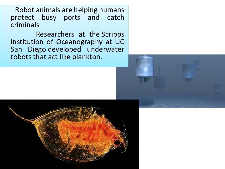 Robot animals are helping humans protect busy ports and catch criminals. Researchers at the