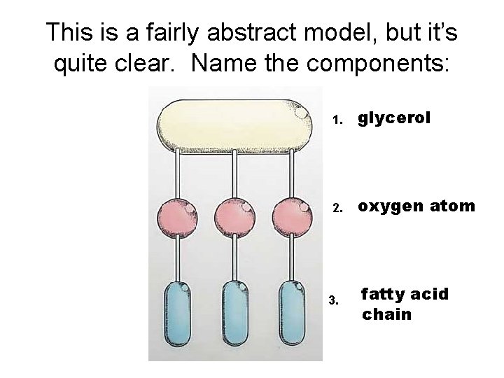 This is a fairly abstract model, but it’s quite clear. Name the components: 1.