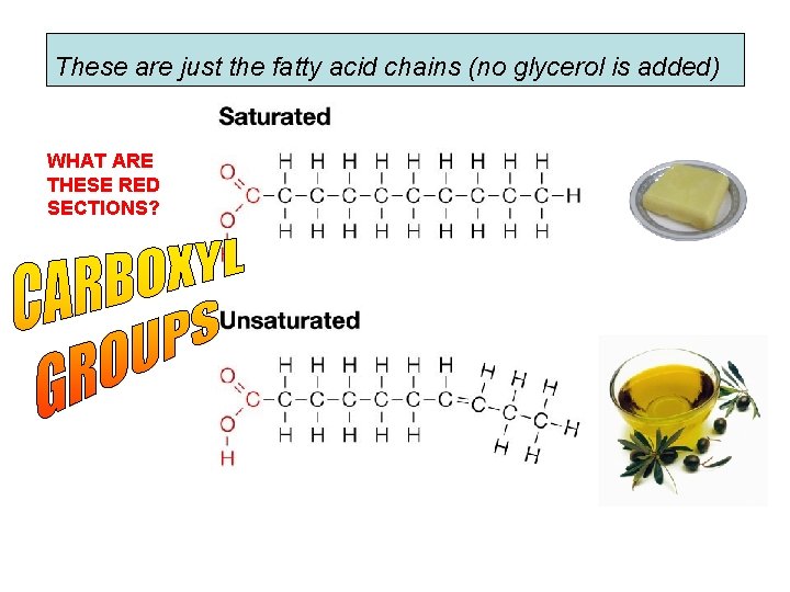 These are just the fatty acid chains (no glycerol is added) WHAT ARE THESE