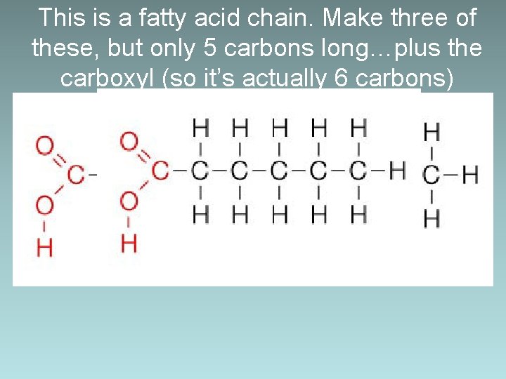 This is a fatty acid chain. Make three of these, but only 5 carbons
