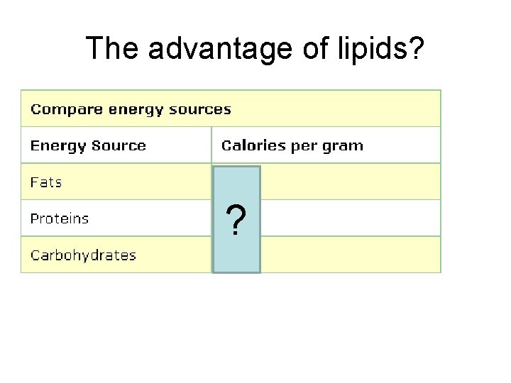 The advantage of lipids? ? 
