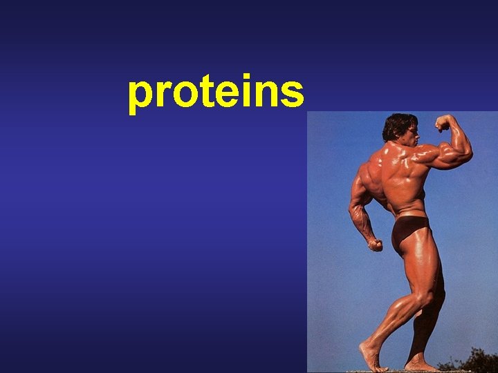 proteins 