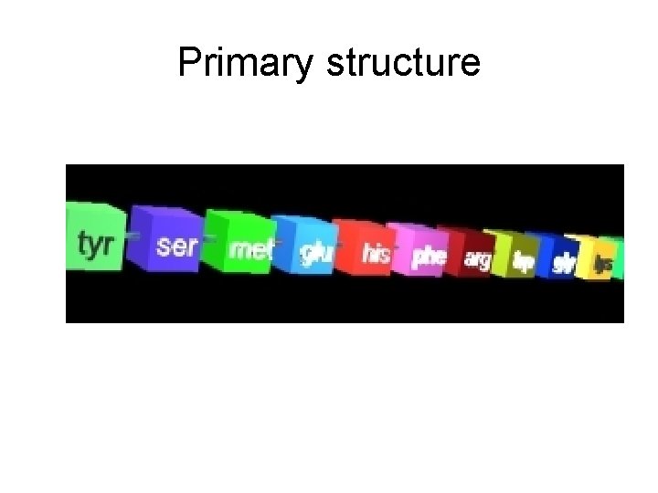 Primary structure 