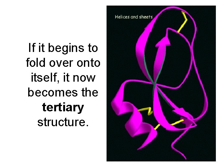 If it begins to fold over onto itself, it now becomes the tertiary structure.