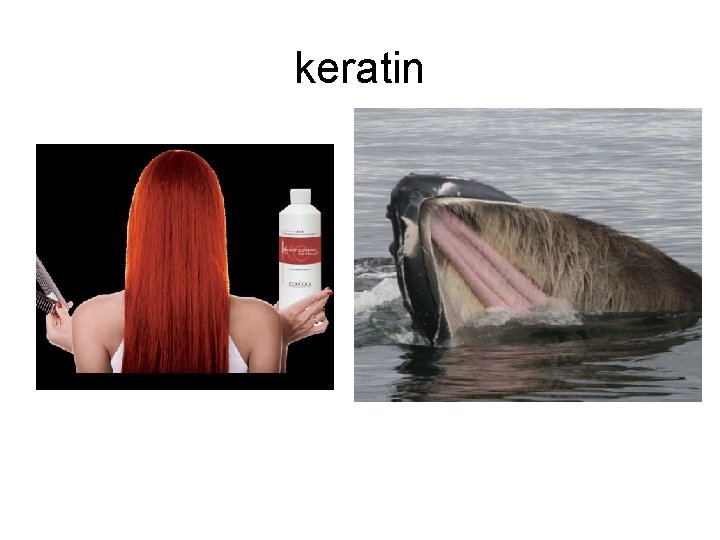 keratin 