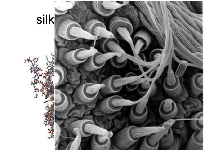 silk 