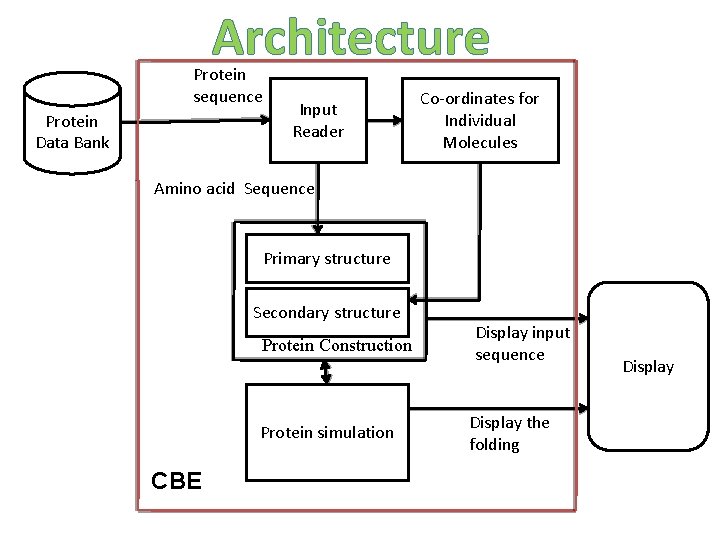 Architecture Protein sequence Protein Data Bank Input Reader Co-ordinates for Individual Molecules Amino acid