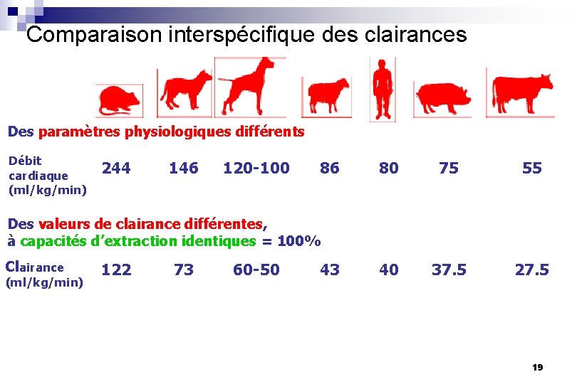 Comparaison interspécifique des clairances Des paramètres physiologiques différents Débit cardiaque (ml/kg/min) 244 146 120