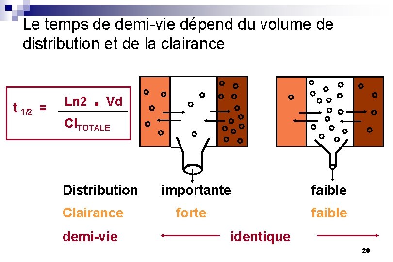 Le temps de demi-vie dépend du volume de distribution et de la clairance t