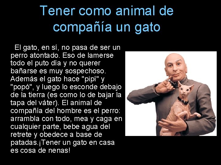 Tener como animal de compañía un gato El gato, en sí, no pasa de