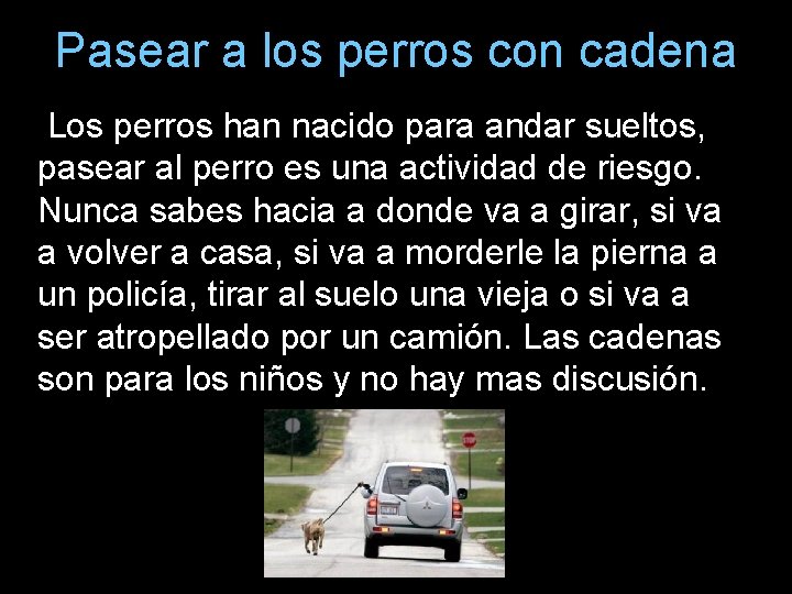 Pasear a los perros con cadena Los perros han nacido para andar sueltos, pasear