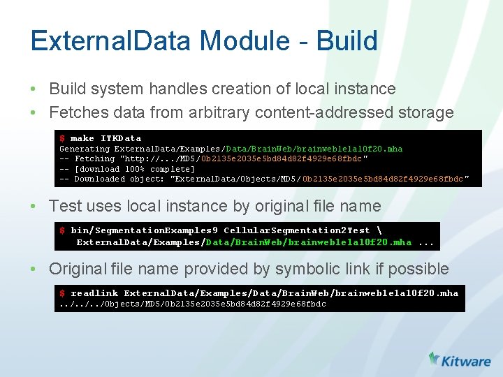 External. Data Module - Build • Build system handles creation of local instance •