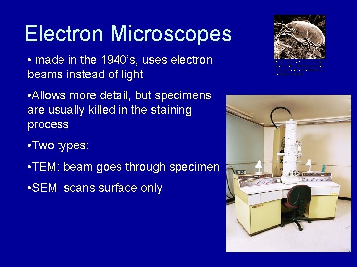 Electron Microscopes • made in the 1940’s, uses electron beams instead of light •