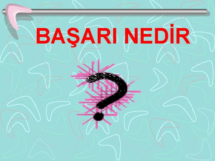 BAŞARI NEDİR 