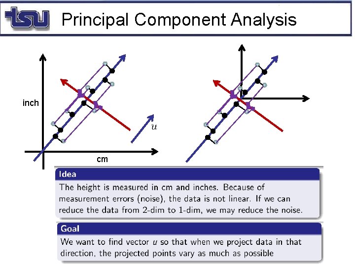 Principal Component Analysis inch cm 