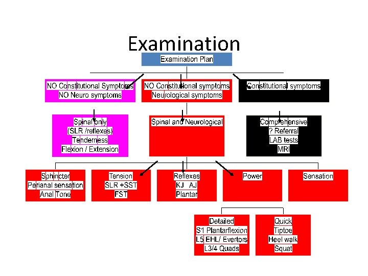 Examination 