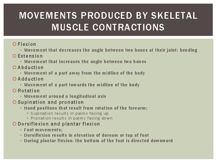 MOVEMENTS PRODUCED BY SKELETAL MUSCLE CONTRACTIONS Flexion § Movement that decreases the angle between