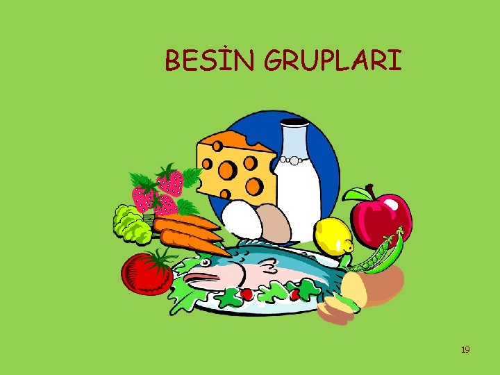 BESİN GRUPLARI 19 