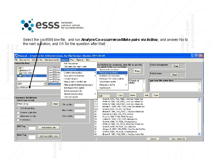 Select the cocit 569. low-file, and run Analyze/Co-occurrence/Make pairs via listbox, and answer No