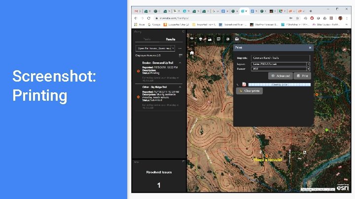 Screenshot: Printing Screenshot: Printing