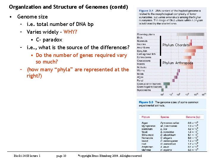 Organization and Structure of Genomes (contd) • Genome size – i. e. total number