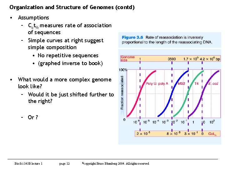 Organization and Structure of Genomes (contd) • Assumptions – Cot½ measures rate of association