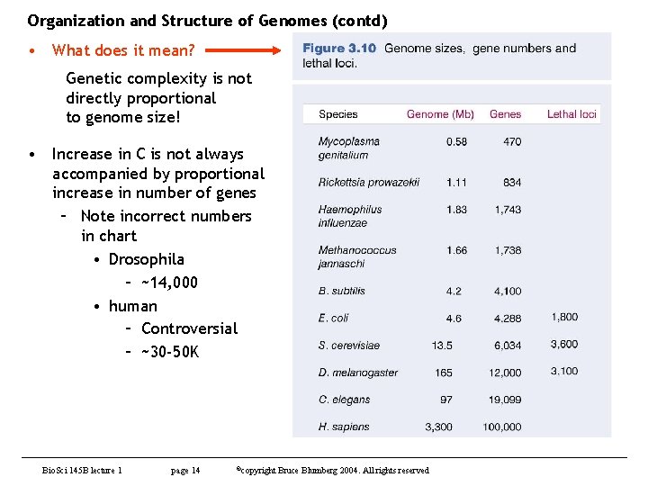Organization and Structure of Genomes (contd) • What does it mean? Genetic complexity is