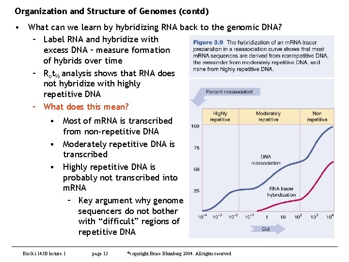 Organization and Structure of Genomes (contd) • What can we learn by hybridizing RNA