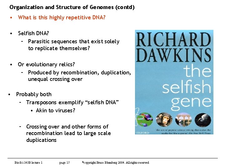 Organization and Structure of Genomes (contd) • What is this highly repetitive DNA? •