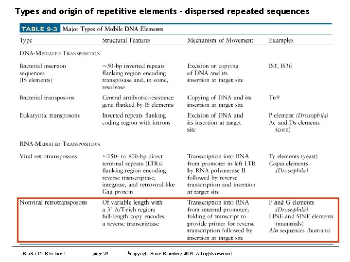 Types and origin of repetitive elements – dispersed repeated sequences Bio. Sci 145 B