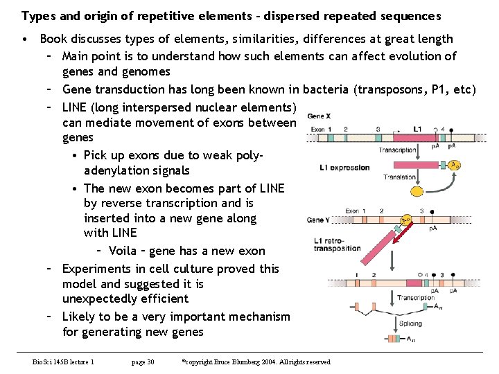 Types and origin of repetitive elements – dispersed repeated sequences • Book discusses types