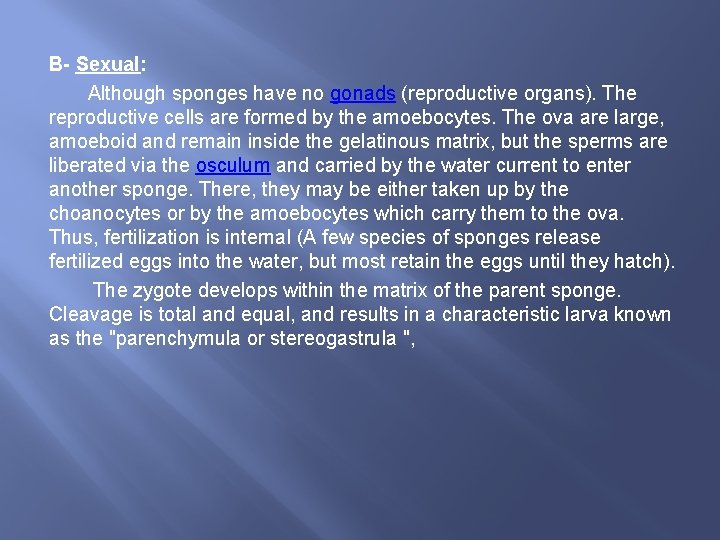 B- Sexual: Although sponges have no gonads (reproductive organs). The reproductive cells are formed