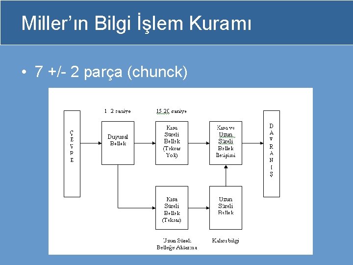 Miller’ın Bilgi İşlem Kuramı • 7 +/- 2 parça (chunck) 