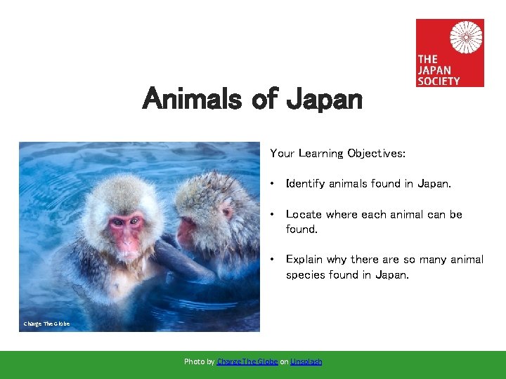 Animals of Japan Your Learning Objectives: • Identify animals found in Japan. • Locate