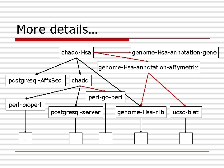 More details… chado-Hsa genome-Hsa-annotation-gene genome-Hsa-annotation-affymetrix postgresql-Affx. Seq chado perl-go-perl-bioperl postgresql-server … … … genome-Hsa-nib More details… chado-Hsa genome-Hsa-annotation-gene genome-Hsa-annotation-affymetrix postgresql-Affx. Seq chado perl-go-perl-bioperl postgresql-server … … … genome-Hsa-nib