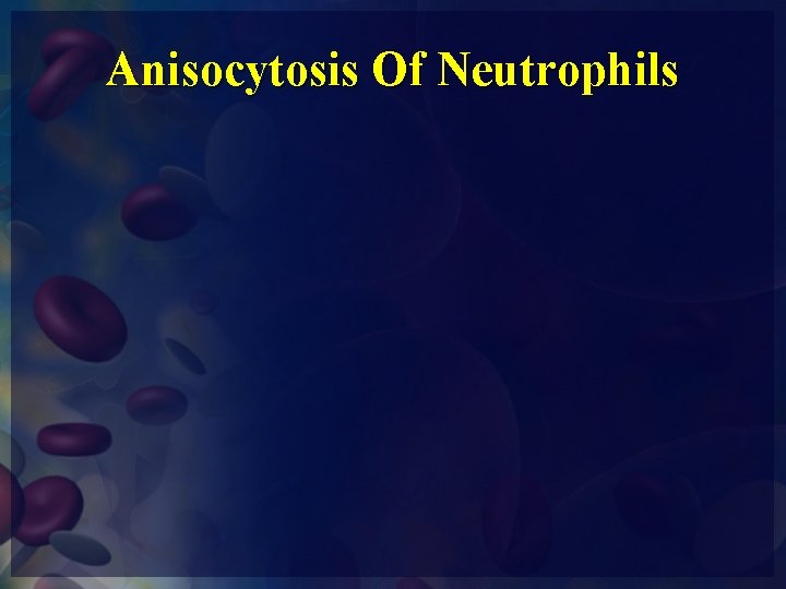 Anisocytosis Of Neutrophils 