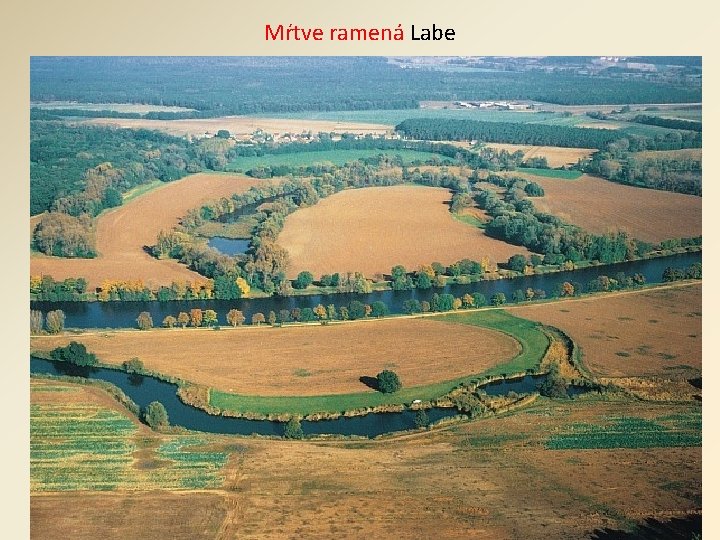 Mŕtve ramená Labe 