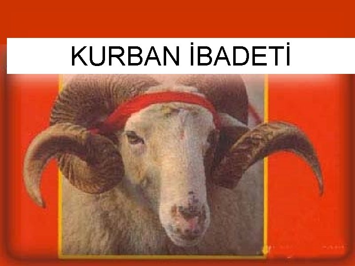KURBAN İBADETİ 