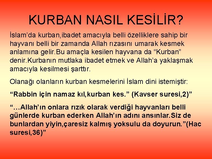 KURBAN NASIL KESİLİR? İslam’da kurban, ibadet amacıyla belli özelliklere sahip bir hayvanı belli bir