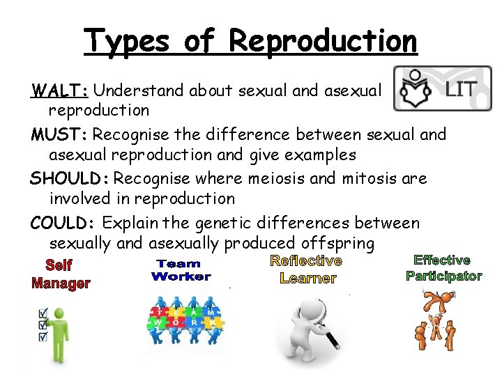 Types of Reproduction WALT: Understand about sexual and asexual reproduction MUST: Recognise the difference
