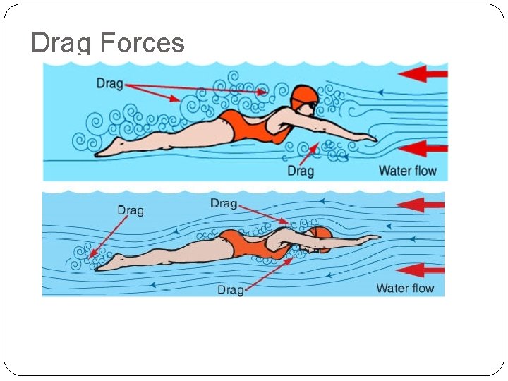 Drag Forces Drag Forces