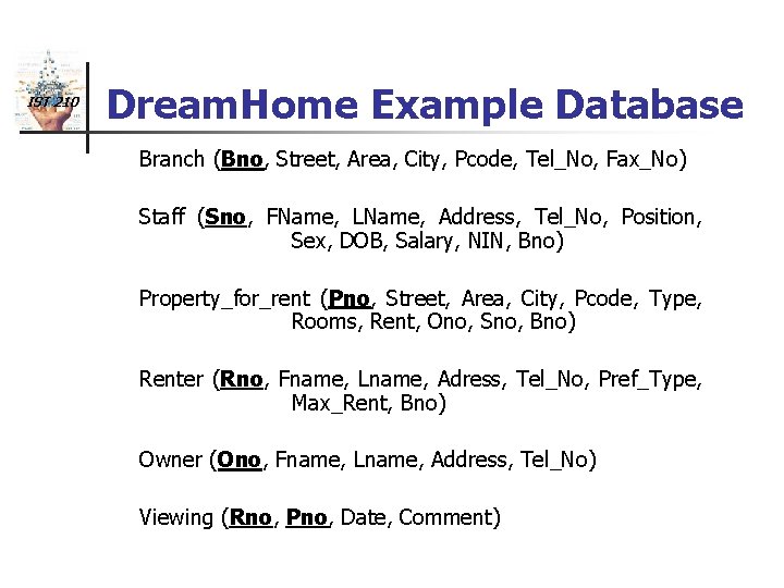 IST 210 Dream. Home Example Database Branch (Bno, Street, Area, City, Pcode, Tel_No, Fax_No)