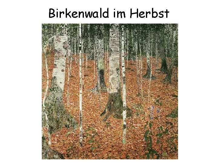 Birkenwald im Herbst 