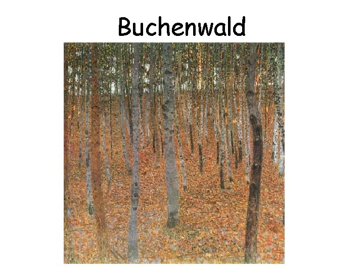 Buchenwald 