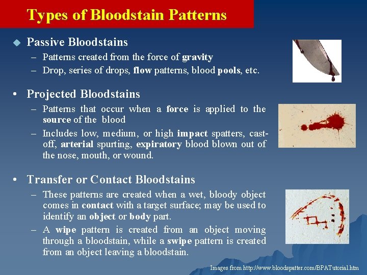 Types of Bloodstain Patterns u Passive Bloodstains – Patterns created from the force of