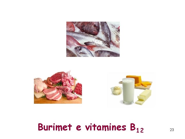Burimet e vitamines B 12 23 