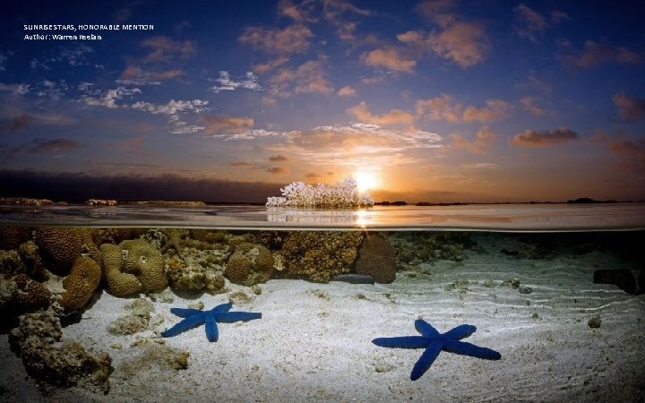 SUNRISE STARS, HONORABLE MENTION Author: Warren Keelan 